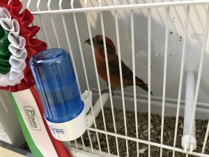 IMG_0492       