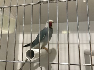 IMG_0500       