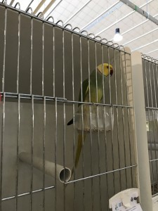 IMG_0506       