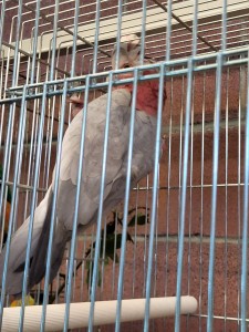 IMG-127f207988cfec4f964cae2e7ed510d4-V 