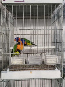 IMG-2a89b9e8f21a255a9bfc01069ba6d406-V
