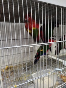 IMG-454b93634bd0e6a85e302d4e081dfe85-V 