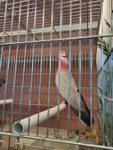 IMG-8133522956b7e3d5d9983507776804a5-V 