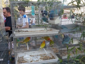20160821_083157