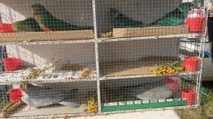 20160911_093304
